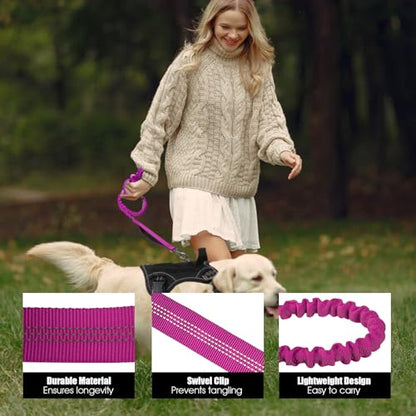 BUMBIN 6Ft Dog Leash Large Dogs, Bungee Dog Leash with 2 Handles, Heavy Duty Leashes for Medium Small Dogs, No Pull Shock Absorbing，with Car Seat Belt for Training, Pink - color: Rose Red