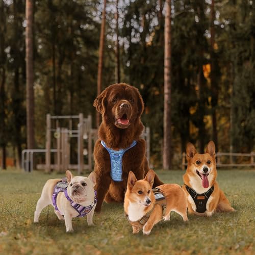 AUNZO Dog Harness for X-Small Dog Breed, Light Pet Vest Harness with 2 Leash Clips and 3 Buckles, Easy to Wear, Adjustable Reflective Soft Padded, Boston Terrier, Beagle, Poodles, XS - color: Purple Ethnic, size: Extra Small