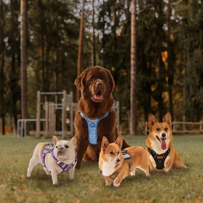 AUNZO Dog Harness for X-Small Dog Breed, Light Pet Vest Harness with 2 Leash Clips and 3 Buckles, Easy to Wear, Adjustable Reflective Soft Padded, Boston Terrier, Beagle, Poodles, XS - color: Purple Ethnic, size: Extra Small