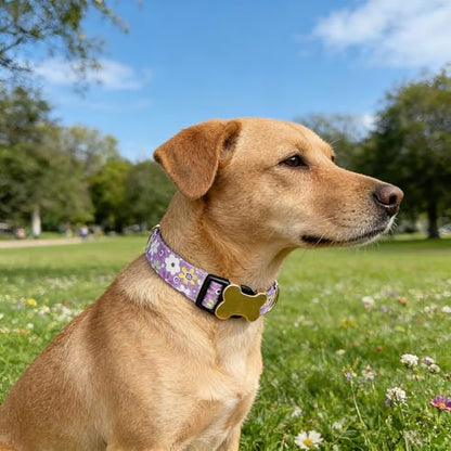 Personalized Custom Customized Silent No Jingle Dog Collar with Engraved ID Dog Name Phone Number/Dog Collars for Puppy X-Small Small Medium Large X-Large Boy Girl Dogs-Purple Flower-XS - color: 14 Purple Flower, size: X-Small (0.6" *7.8"-11.8")