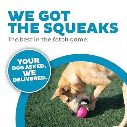Outward Hound by Planet Dog Squeak Ball Bouncy Fetch Dog Toy, Pink - color: Pink Squeak Toy