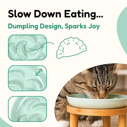 Slow Feeder Bowl, 6.3″ Elevated Cat Bowl with Stand, Melamine Wide Shallow Food Bowl, Whisker-Friendly Raised Plate, Wet Food Feeder for Slow Eating (Green) - color: Green, size: 1 Pack with Stand - 6.3''W x 1.5''H