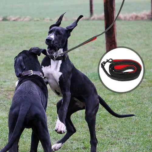 Beaupretty Double Handle Dog Leash Outdoor Pet Walking Leash with Traffic Handle for Medium Dogs Comfortable Non-Chafing Grey and Red Traction Rope