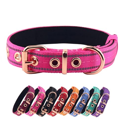 Neoprene Padded Dog Collar, Nylon Collar for Small to Large Dogs, Heavy Duty with Metal Buckle, Reflective(Medium, Pink) - color: Pink, size: Medium (Pack of 1)