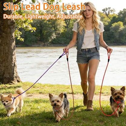 FOVRLZSE Nylon Dog Leash 5-Pack (Red/Black/Blue/Brown/Purple), 4.6FT Training Leash for Small to Medium Dogs, 10mm Braided Nylon with TPU Non-Slip Buckle, Daily Walking & Puppy Training - color: Deep Colors