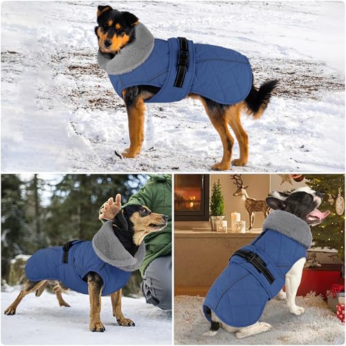 Dog Coat, Waterproof Dog Winter Jacket with Adjustable Buckle, Reflective Turtleneck Pet Snow Vest Warm Fleece Sweater for Small Medium Large Dogs - Blue, S - color: Blue, size: Small