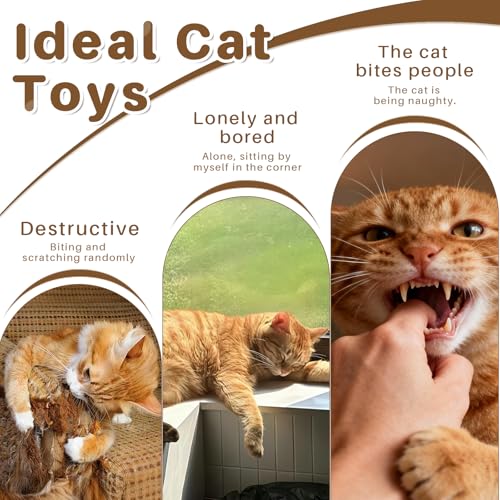 Walfront Interactive Cat Wand Toy with Butterfly, Telescopic Fishing Rod Design, Realistic and Lively for Indoor Cats and Kittens, Fun for Multi-Cat Households and Engaging Daily Play