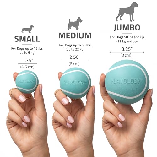 Playology Dog Toys | Squeaky Chew Ball - Bouncy Durable Floating Fetch Ball for Dogs | Medium Peanut Butter Scented Toy - Easy to Clean and Made from Non Toxic Materials - size: Medium, style: Peanut Butter