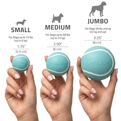 Playology Dog Toys | Squeaky Chew Ball - Bouncy Durable Floating Fetch Ball for Dogs | Medium Peanut Butter Scented Toy - Easy to Clean and Made from Non Toxic Materials - size: Medium, style: Peanut Butter