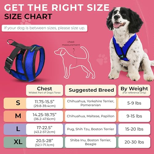 Gooby Choke Free Comfort X Soft Harness, Blue, Small - color: Blue, size: Small Chest (11.75-15.5")