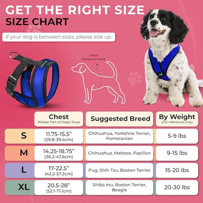 Gooby Choke Free Comfort X Soft Harness, Blue, Small - color: Blue, size: Small Chest (11.75-15.5")