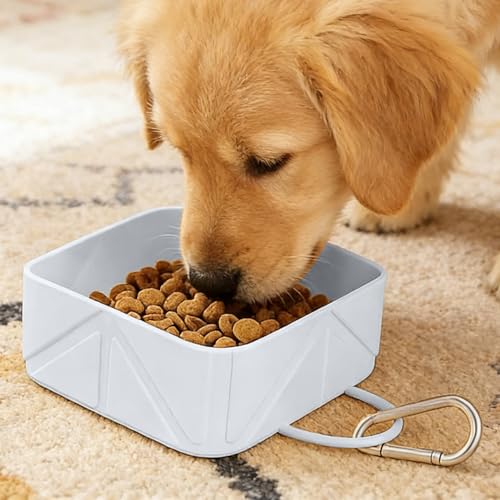 Collapsible Pet Bowls for Dogs and Cats, Portable Travel Silicone Foldable Dog Water Food Bowl with Carabiner 10.5x10.5x4.5cm - color: white