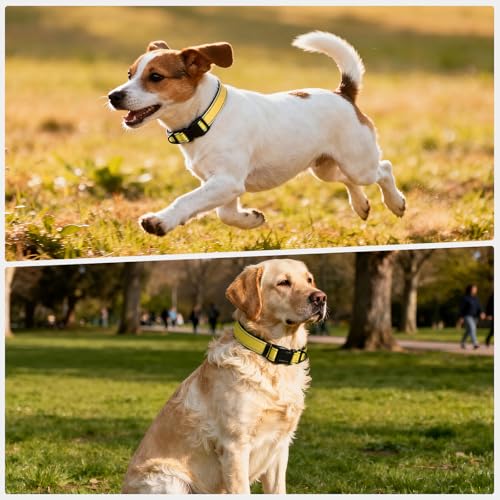 Reflective Dog Collar with Quick Release Buckle - Metal Ring - Adjustable Soft Neoprene Padded Basic Dog Collar for Small Medium Large Dogs (Yellow, Medium :Width 1",Neck 13.8-19.6") - color: Yellow, size: Medium