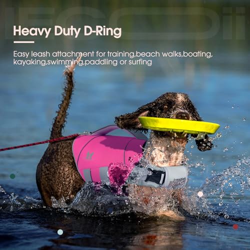 IECOii Large Dog Life Jacket for Swimming, Reflective Dog Floating Vest with Strong Life Handle and Metal D-Ring, Summer Beach & Pool Essentials Water Play Gear, Bright Pet Dogs Life Vest Rosered, L - color: Rose Red, size: Large Chest:22.8-29.5'')
