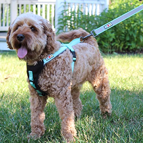 Pawtitas Reflective Padded Dog Harness for Medium Dogs – Adjustable Step-in Vest | Fits Chest 22–28 in | No Pull Training Harness | M | Pink - color: Pink, size: Medium (Pack of 1)