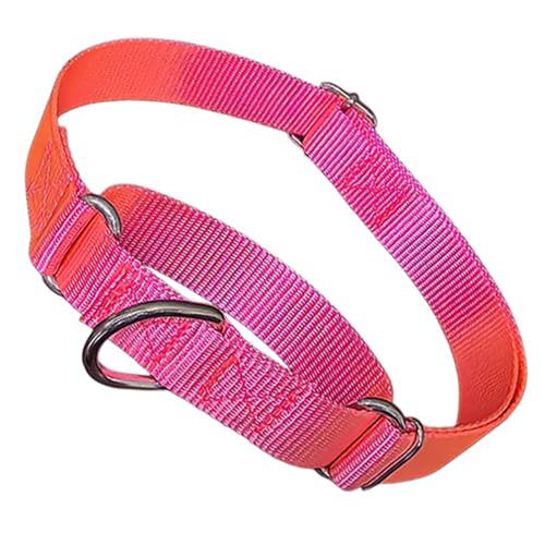 Martingale Collar for Dogs,Nylon Choke Collar for Dog,No Pull Slip Cinch Training Escape Proof Heavy Duty Dog Collars Adjustable for Small Medium Large Pet Dogs,Hot Pink S - color: Hot Pink, size: S(Neck 10-14")