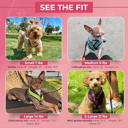 Gooby Comfort X Head-in Harness – Medium Dog Harness (9–15 lbs), Turquoise, No Pull, Choke-Free Design - color: Turquoise, size: Medium Chest (14.25-18.75")