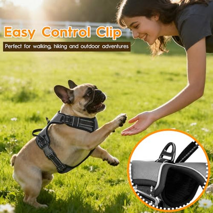 No Pull Dog Harness, No Chock Reflective Adjustable Soft Padded Pet Vest with Easy Control Handle, Easy Wearing with Stylish, Reinforced Knot, 2 Buckles - color: Gray, size: X-Small