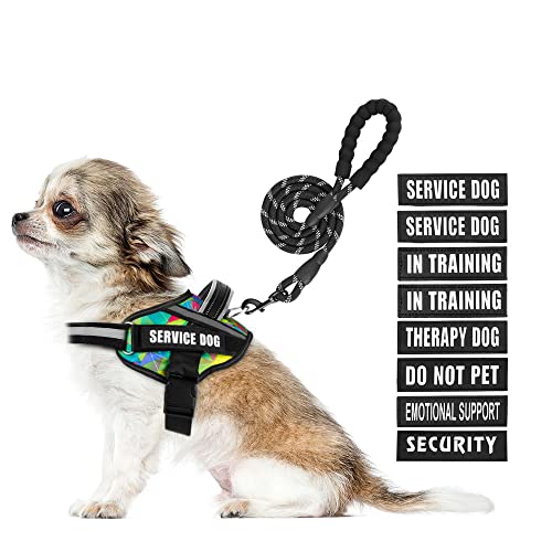 Service Dog Harness and Leash Set, XS, Multi-Colored, with 10 Patches, Reflective, for Small to XL Dogs - color: Multi-Colored, size: XS