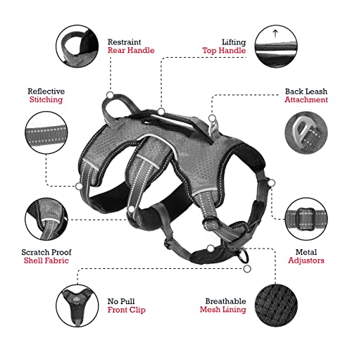 Tuff Pupper Escape Proof No Escape Dog Harness | 5 Point Adjustable Fit Harness for Dogs | Padded Dog Harnesses | Handle Dog Lift Harnesses - color: Steel Grey, size: Medium