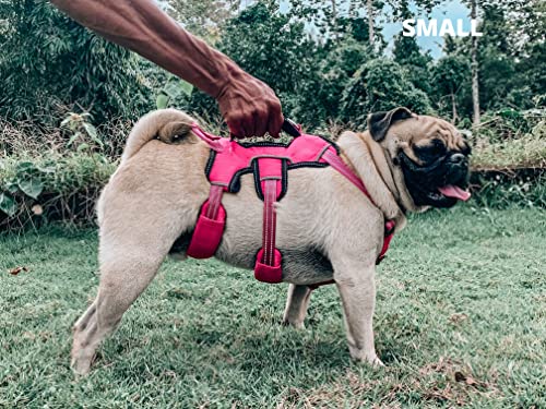 Tuff Pupper Escape Proof No Escape Dog Harness | 5 Point Adjustable Fit Harness for Dogs | Padded Dog Harnesses | Handle Dog Lift Harnesses - color: Hot Pink, size: Small