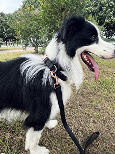 Dog Collar and Leash Set.Soft and Easy to Clean Vegan Leather with Rose Gold Metal Buckle for Small Medium Large Dogs (Black, S(12.2"-16.9")) - color: Black, size: S