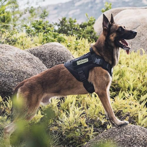 OneTigris Tactical Dog Harness Vest,No-Pull Service Dog Vest with Hook & Loop Panels,Adjustable Dog Vest Harness for Walking Hiking Training(Black,XXS) - color: Black, size: XX-Small
