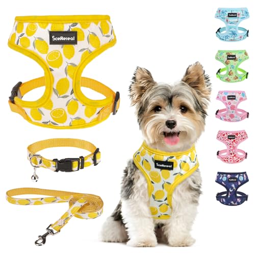 SCENEREAL Small Dog Harness and Leash Collar Set - No Pull Dog Harness for Small & Medium Sized Dogs - Soft Mesh Vest for Puppies, Chihuahua, Yorkie, Spring Summer Hiking Walking, Yellow Lemon XS - color: Yellow-Lemon, size: XS: Chest Girth: 10"-14"