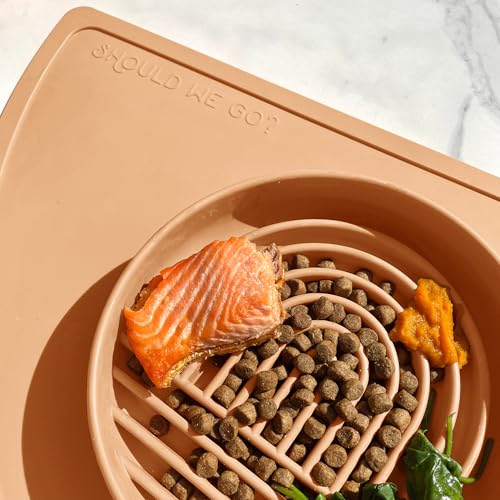 Should We Go? Slow Feeder for Dogs & Puppies, The Slowdown Bowl Silicone Slow Eating Modern Lick Mat Design, Reduces Gulping, Fits 2 Cups 7.5” Across x 1.5” Tall, Mealtime Challenge, Medium-Terracotta - color: Terracotta - Rainbow Design, size: Medium (7.