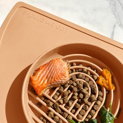 Should We Go? Slow Feeder for Dogs & Puppies, The Slowdown Bowl Silicone Slow Eating Modern Lick Mat Design, Reduces Gulping, Fits 2 Cups 7.5” Across x 1.5” Tall, Mealtime Challenge, Medium-Terracotta - color: Terracotta - Rainbow Design, size: Medium (7.
