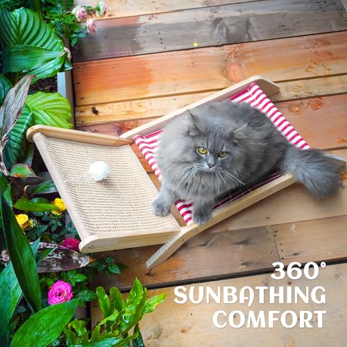 PETKARAY Beach Chair Cat Hammock, Elevated Cat Beds for Indoor Cats, Original Cozy Lounger with Sisal Scratcher and Toy Ball - color: Red