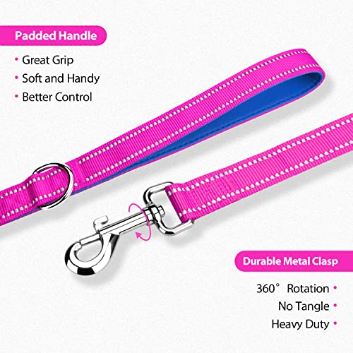 PHOEPET 5 Feet Dog Leash - Dual-Side Reflective - Soft Padded Handle - Fit for Walking, Training or Exploring Hiking, Camping (Pink + Royal Blue Base) - color: Pink + Royal Blue Base