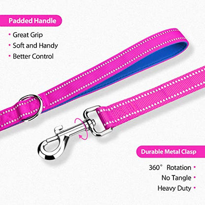 PHOEPET 5 Feet Dog Leash - Dual-Side Reflective - Soft Padded Handle - Fit for Walking, Training or Exploring Hiking, Camping (Pink + Royal Blue Base) - color: Pink + Royal Blue Base