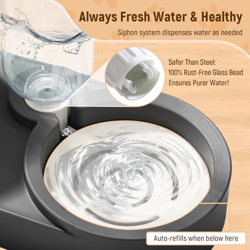2-in-1 Dog Bowl, Elevated Cat Food and Water Bowl with No-Spill Mat, 15° Tilt Stainless Steel Dish + 500ml Leak-Proof Bottle, Easy Clean Design (Dry/Wet Food & Water)