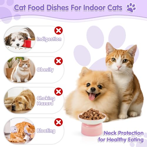 Cat Food Bowl, Ceramic Cat Bowls, Anti Whisker Fatigue Cats Bowl Set,Shallow Wide Kitten Plates for Food and Water (FenBai) - color: FenBai