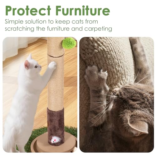 Cat Scratching Post, 35 Inch Tall Cat Scratcher Cat Tree Tower with Hanging Ball for Indoor Cats Adults,Sisal Rope Kitten Scratch with Interactive Mouse Cat Toy (41in, Monstera)