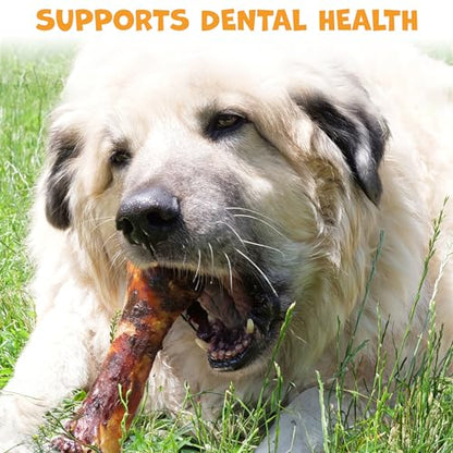 Pack Approved Beef Shin Bones for Dogs - Liver Coated Long Lasting Dog Chews for Aggressive Chewers - Rawhide-Free Big Bones for Large Dogs - Healthy Large Dog Bone (1 Pack)