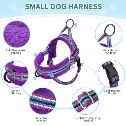 SlowTon No Pull Small Dog Harness and Leash Set, Puppy Soft Vest Harness Neck & Chest Adjustable, Reflective Lightweight Harness & Anti-Twist Pet Lead Combo for Small Medium Dogs (PU-Front Clip, XS) - color: B-Purple - With Front Clip, size: X-Small