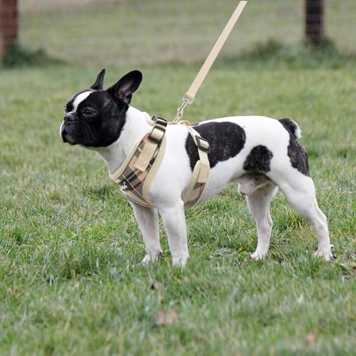 PUPTECK Soft Mesh Dog Harness and Leash Set Pet Puppy Cat Adjustable Reflective Padded Vest No Pull Harnesses, Beige, S - color: Beige, size: S (NECK: 13-15", CHEST: 14-18")