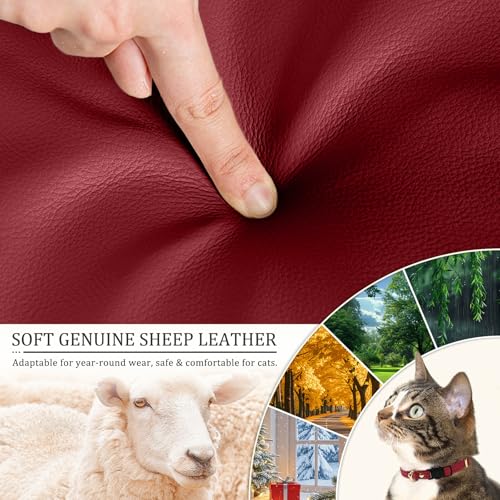 Cat Collar Breakaway with D-Ring and Safety Buckle, Adjustable, Soft Sheep Leather and Lightweight for Kittens and Small Pets (Neck Fit 7.5"-11", Rose Red) - color: Rose Red (7.5–11")