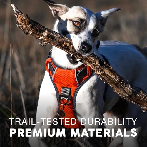 Embark Adventure Small Dog Harness – No-Pull, Reflective Trim, Military-Grade Nylon, Front Clip with Gel-Lined Handle - color: Orange, size: S