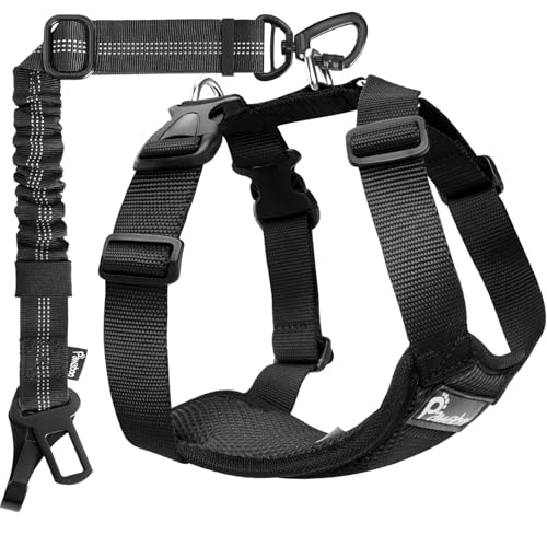 Pawaboo Dog Seat Belt Harness for Car, Dog Car Harness Seatbelt with Double Clips, Adjustable Breathable Pet Vest & Dogs Safety Tether with Elastic Bungee for Small Medium Large Pet, M, Black - color: Black, size: Medium