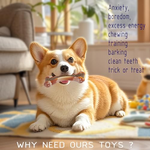 Dog Bones Chew Toys for Aggressive Chewers, 3 Pack Real Chicken Flavor,Indestructible Dog Teething Chew Toys for Large/Medium/Small Breed,Tough Toy with Durable Nylon - size: Chicken Flavor 3 PCS, style: Contemporary