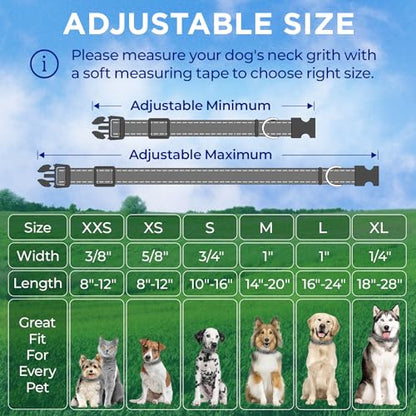 TECEUM Reflective Dog Collar – Gray – M – Extra Soft Padding – Basic Nylon Pet Collar – Quick Release Buckle – Fits Small, Medium and Large Dogs, Puppies, Cats – ESA & Service Dog Options - color: Gray, size: Medium