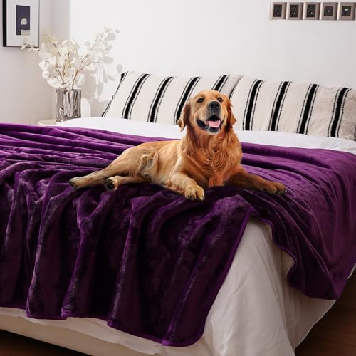 Sunsleek Waterproof Fleece Sherpa Blanket for Bed Sofa Couch Travel, Reversible Soft Throw Blanket for Dog Puppy Cat, Washable Pet Blanket (Purple,60x80 inches) - color: Purple, size: M(60*80")
