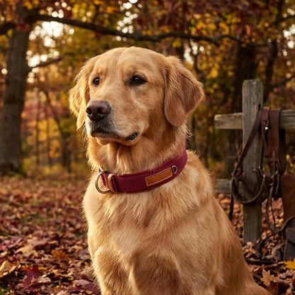 Soft Nylon Dog Collar with Buckle, Adjustable Padded Pet Collar with D-Ring for Small Medium Large Dogs,Red,XL - color: Red, size: XL:Neck 20.8-24.8"