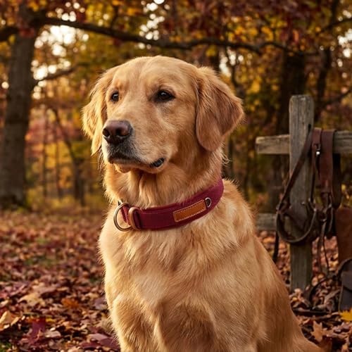 Soft Nylon Dog Collar with Buckle, Adjustable Padded Pet Collar with D-Ring for Small Medium Large Dogs，Red，L - color: Red, size: L:Neck 17.7-21.6"