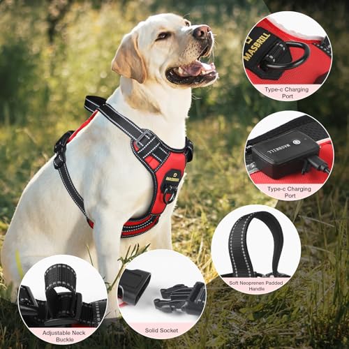 Lighted Dog Harness - No Pull, Glowing LED Harness with Handle, Adjustable for Small to Large Dogs - color: Red, size: S
