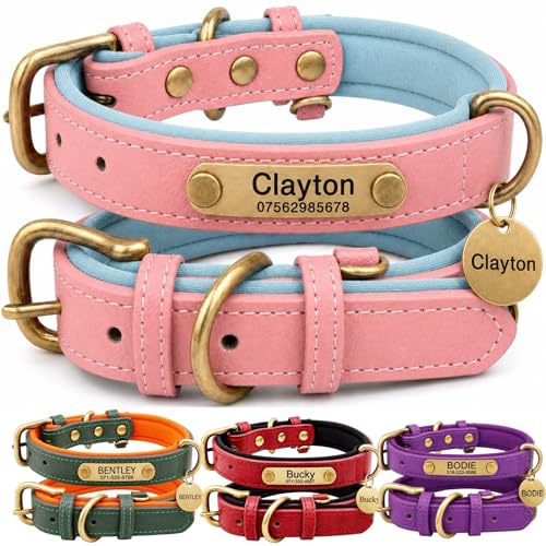 Leather Dog Collar Personalised and Leash Set, Personalized with Soft Padded Design Heavy Duty Featuring Custom Engraved Name Plate for Small Medium and Large Dogs - color: Pink collar without leash, size: M:（neck 28-37cm,width 2cm）