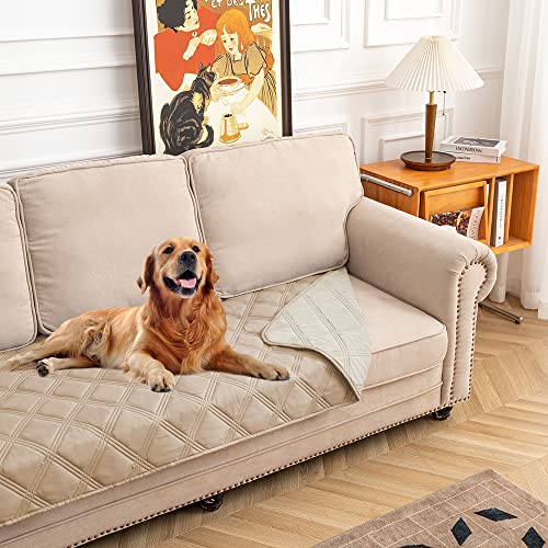 fuguitex Waterproof Dog Blanket, Pet Friendly Reversible Throw Essential for Small Dogs, Tear Resistant Leakproof Washable Couch Cushion Bed Protector Cover for Indoor Furniture（30"*70",Beige+Cream - color: Beige+cream, size: 30"*70"